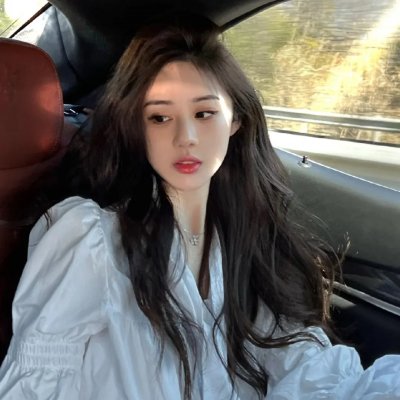 木材宝藏狗